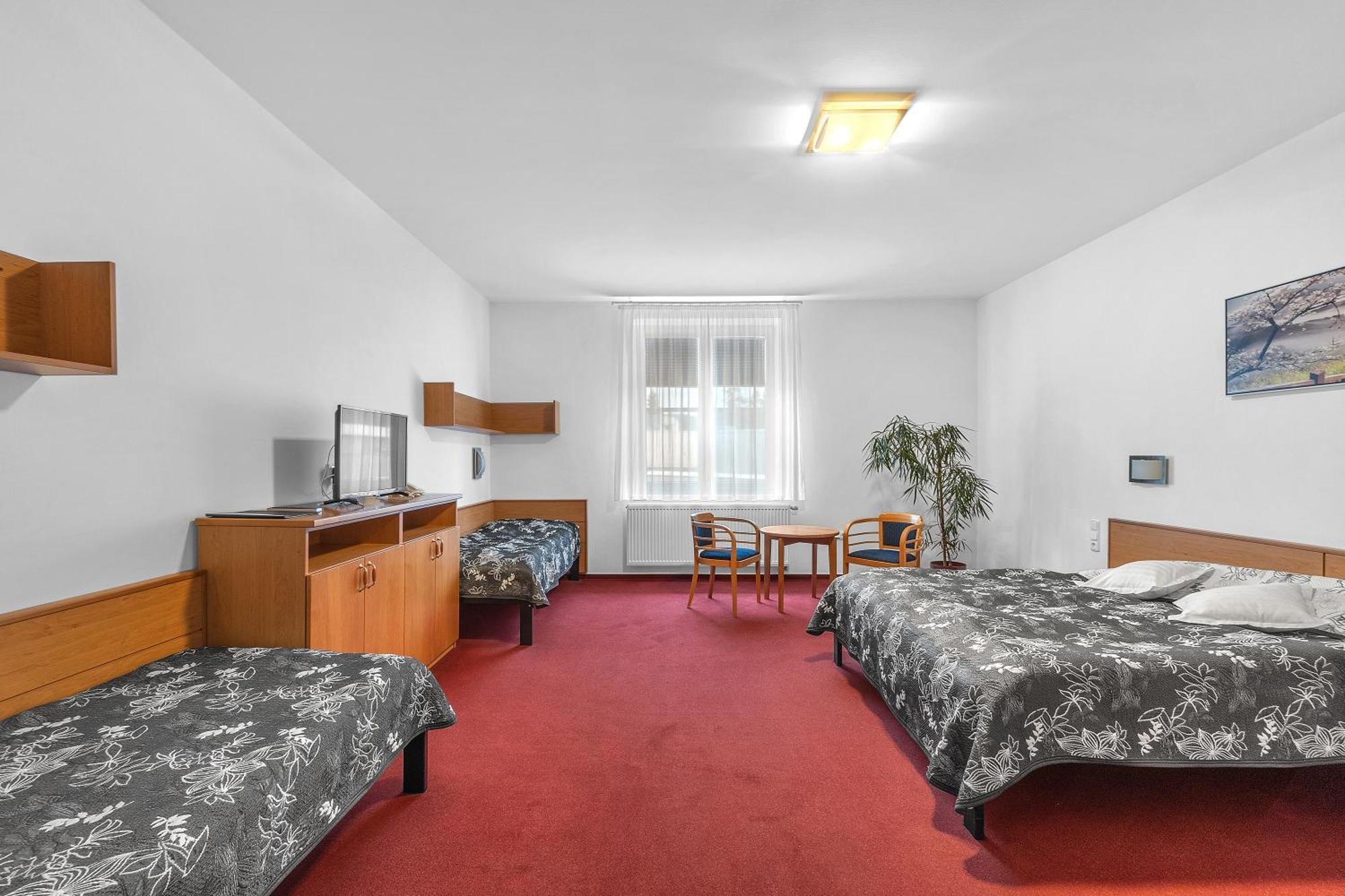 Hotel Za Vodou Dvur Kralove nad Labem Exterior photo